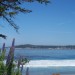 Carmel Beach-Blick auf Golfplatz ...