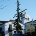 Cypress Inn
